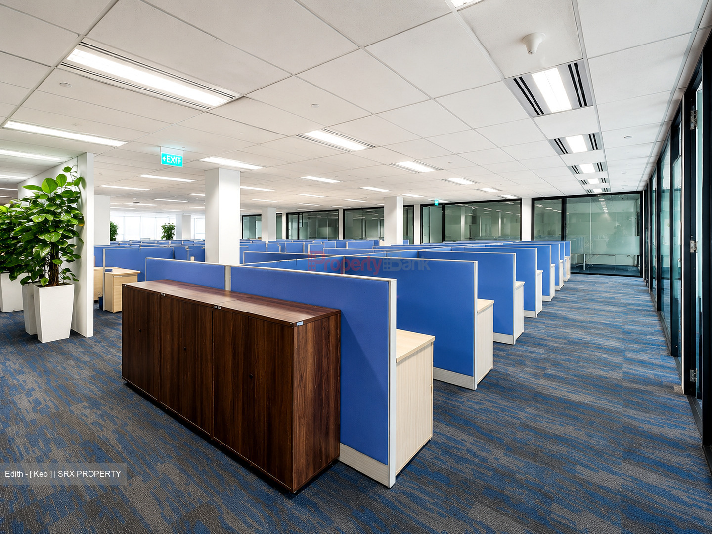 MYP Plaza (D1), Office #608095261